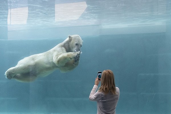 Jégvilág borítókép