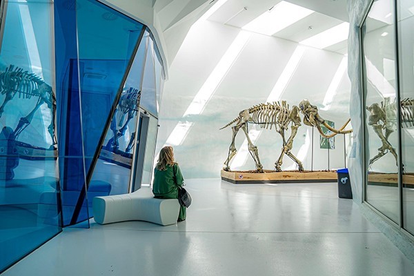 Jégvilág borítókép