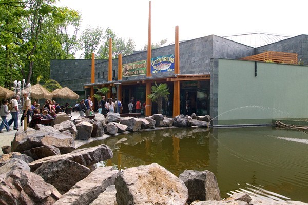 Zöld Piramis borítókép