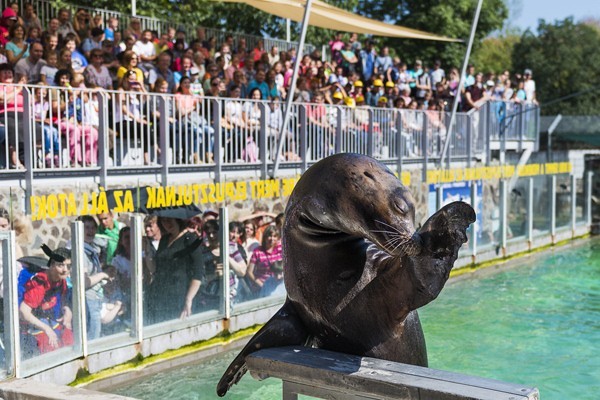 Programok borítókép