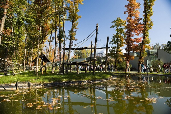 Zöld Piramis borítókép