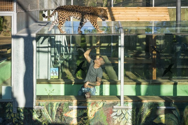 Életképek borítókép