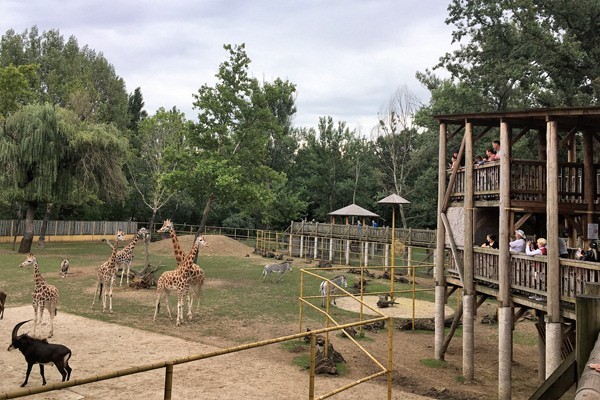 Tarzan ösvénye borítókép