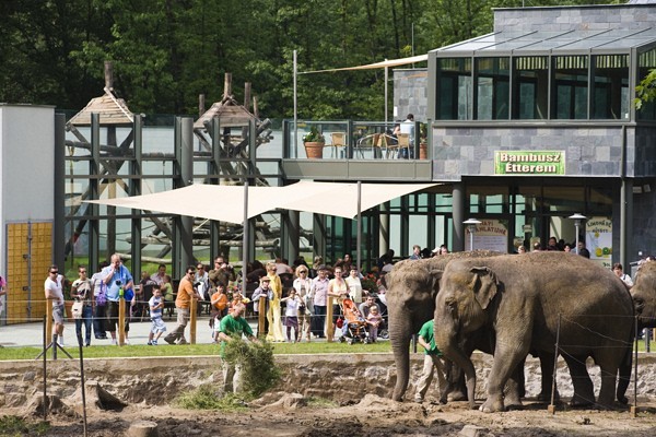 Életképek borítókép