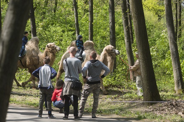 Programok borítókép