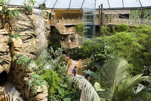 Zöld Piramis borítókép