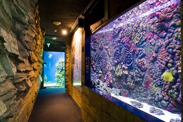 Ócenárium borítókép