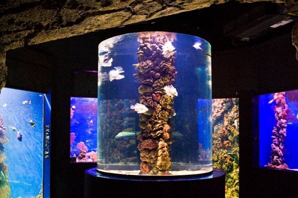 Ócenárium borítókép