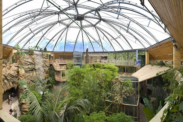 Zöld Piramis borítókép