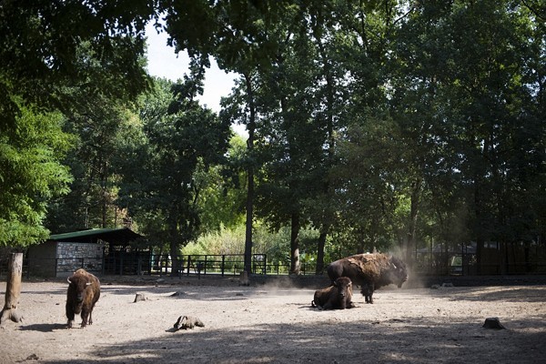 Andok Kalandok borítókép