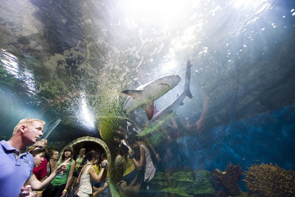 Ócenárium borítókép