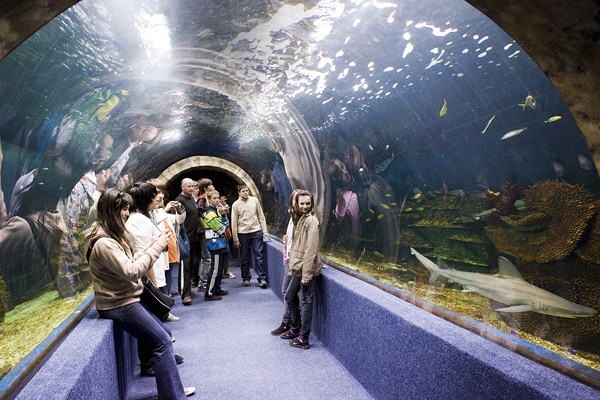 Ócenárium borítókép