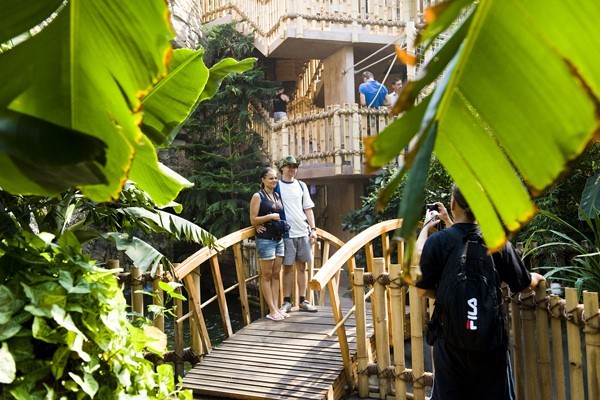 Zöld Piramis borítókép