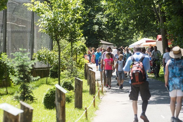 Életképek borítókép