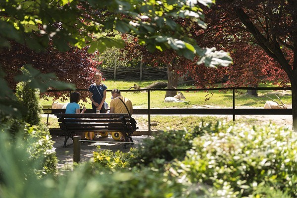 Tarzan ösvénye borítókép