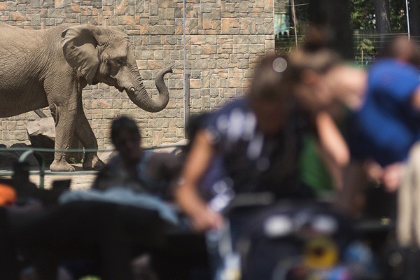 Életképek borítókép