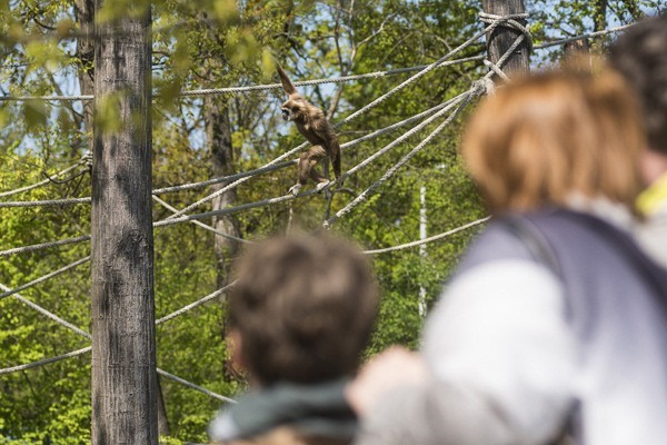 Életképek borítókép