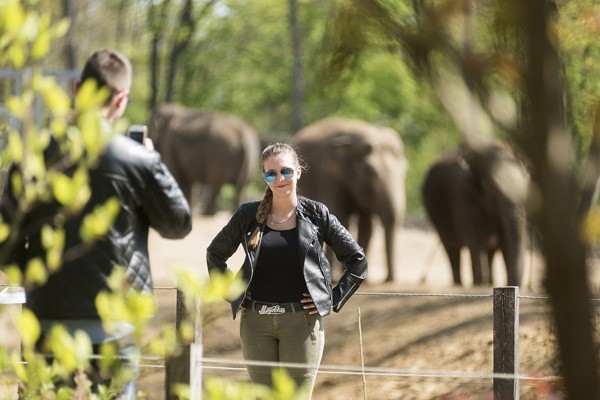 Életképek borítókép