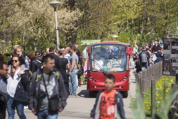 KocsikáZoo borítókép