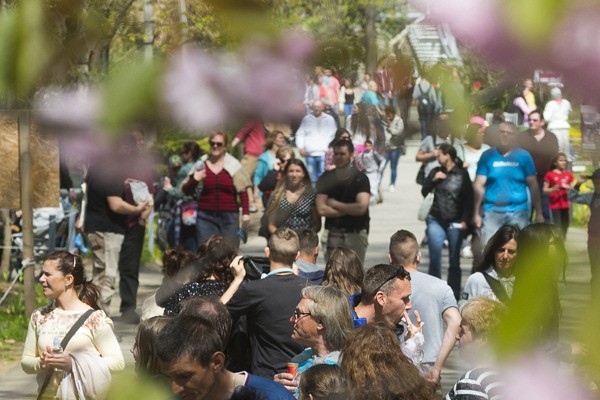 Életképek borítókép