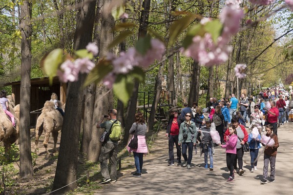 Életképek borítókép