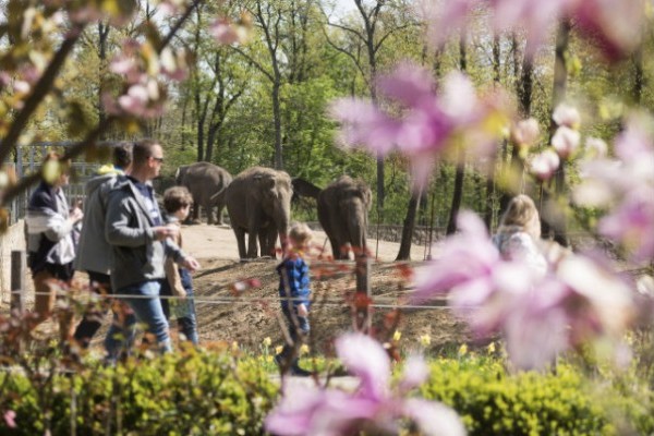 Húsvétkor is vár a Nyíregyházi Állatpark!