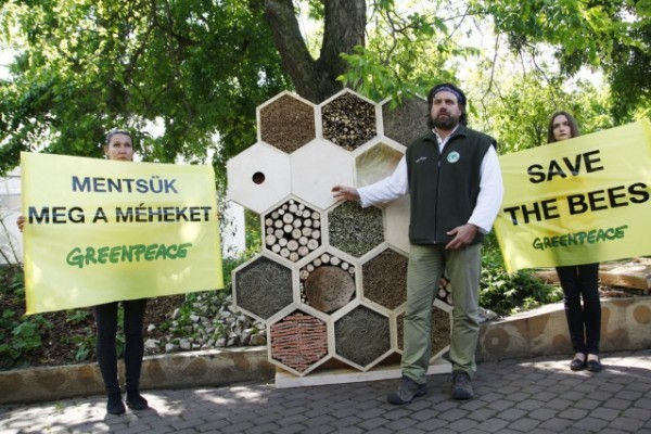 Különleges programok várnak rád szeptember 20-án szombaton a Nyíregyházi Állatparkban!