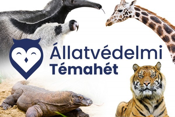 Állatvédelmi témahét a Nyíregyházi Állatparkban