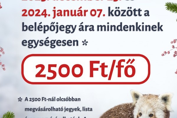 Van egy karácsonyi ajándékunk a számotokra!