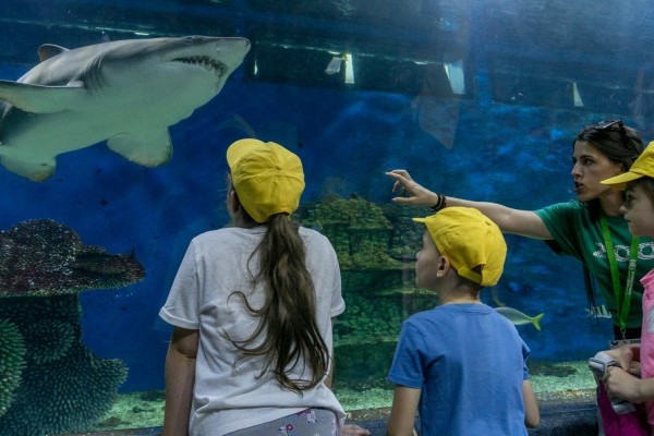 Március 3 a Vadvilág Világnapja