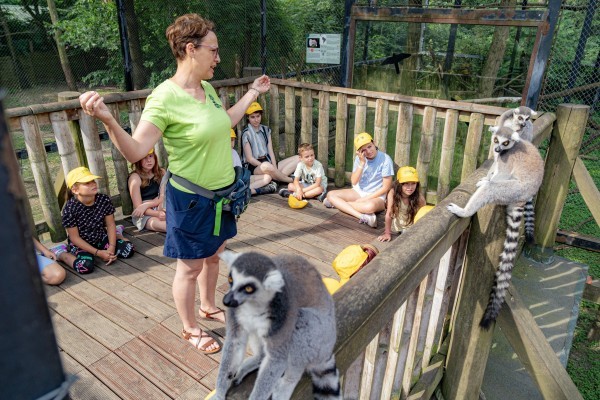 Idén is lesz nyári tábor!