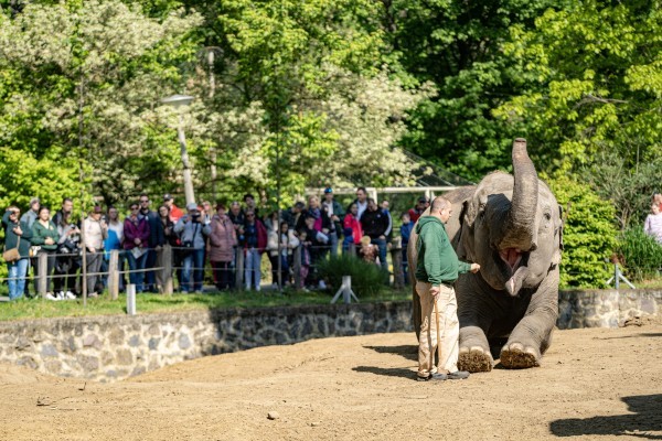 Óriási érdeklődéssel zajlott a Föld Napja