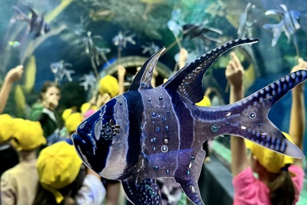Today is the International Marine Fish Day