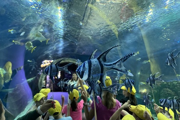 Ma van a Tengeri halak Nemzetközi Napja