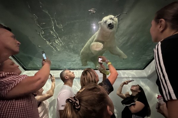 Óriási sikerrel zajlott az Állatkertek éjszakája