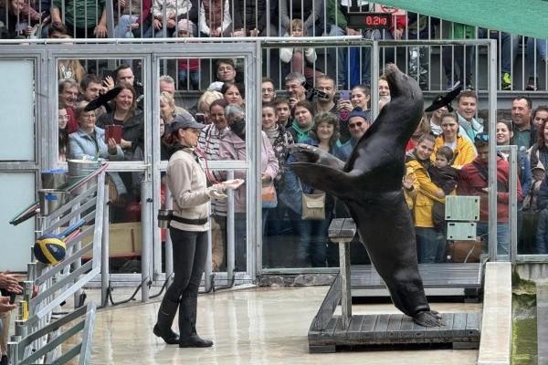 Órási érdeklődéssel zajlott az Állatvédelmi Témahét