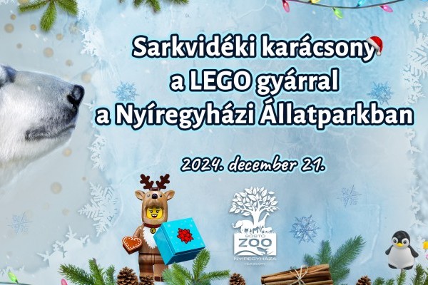 Karácsonyi meglepetés