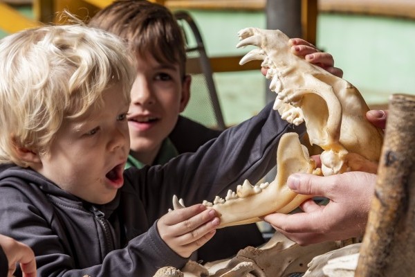 Ma van az Állatvédelem pedagógia napja