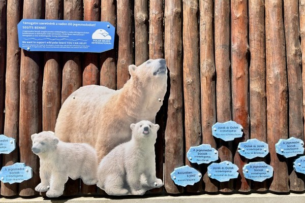 Ma van a Sarkvidéki tengeri jég Világnapja