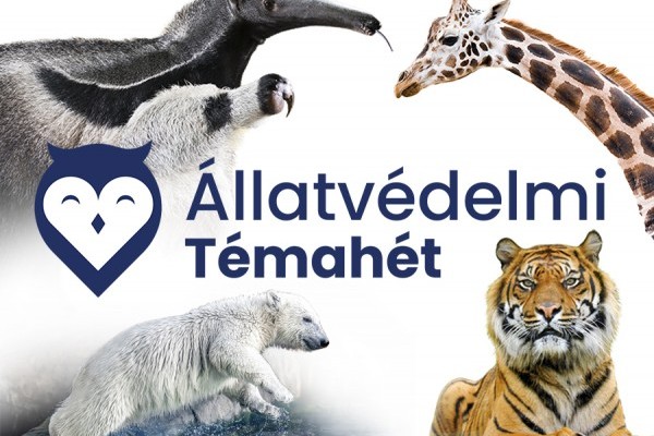 Kedvezményes belépés az Állatvédelmi témahéten