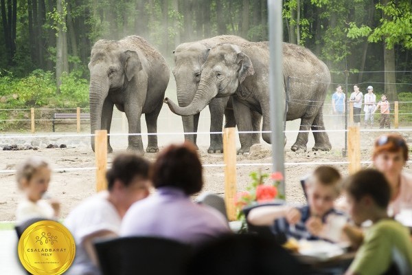  Családbarát szolgáltatóhely vagyunk!