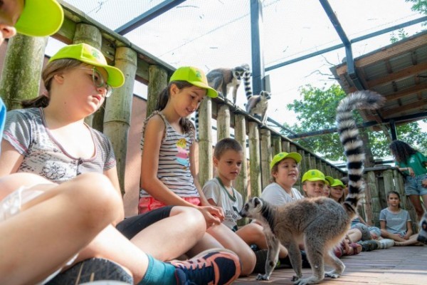 A héten elkezdődött a ZOOsuli