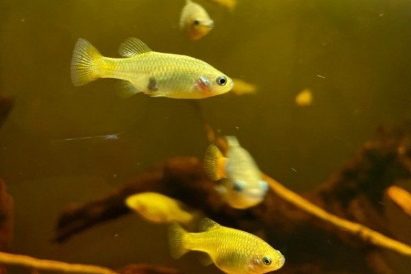 Mert a kicsikre is figyelni kell!