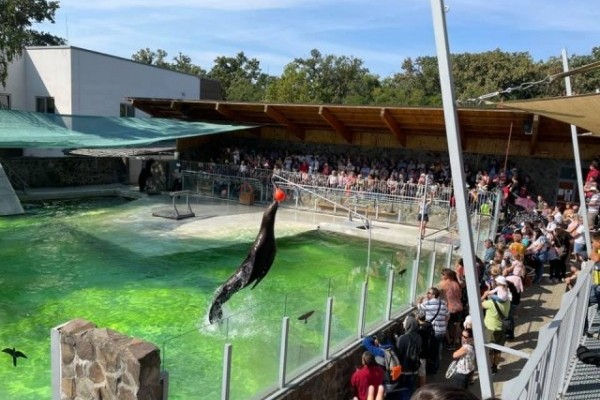 Ez a te napod rendezvény az Állatparkban