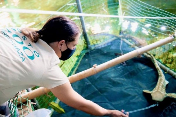 Megérkezett a 2022-es esztendő első látványossága