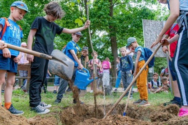 Idén is elültettük az év fáját a Nyírerdő ZRT. segítségével