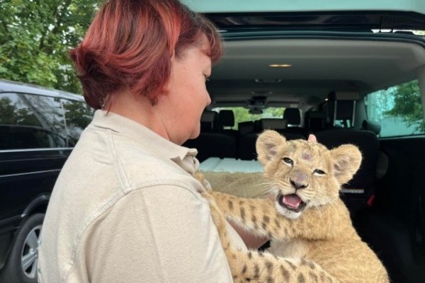 Újabb mentett állat érkezett a háború sújtotta Ukrajnából Állatparkunkba