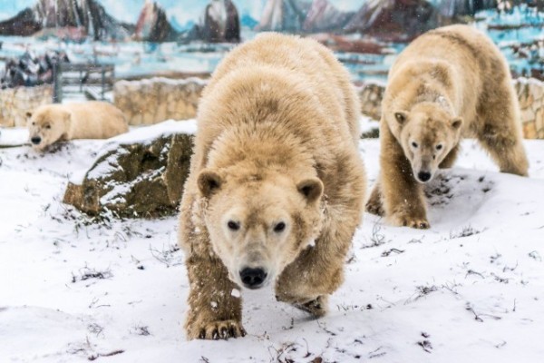 Mi nem alszunk téli álmot--Látogass el hozzánk!