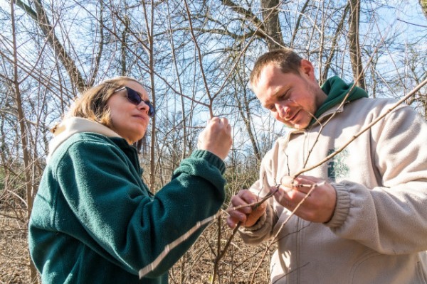 The Nyíregyháza Zoo has finished its tree planting program