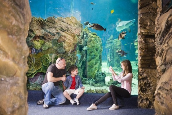 Féláron a Nyíregyházi Állatparkba!